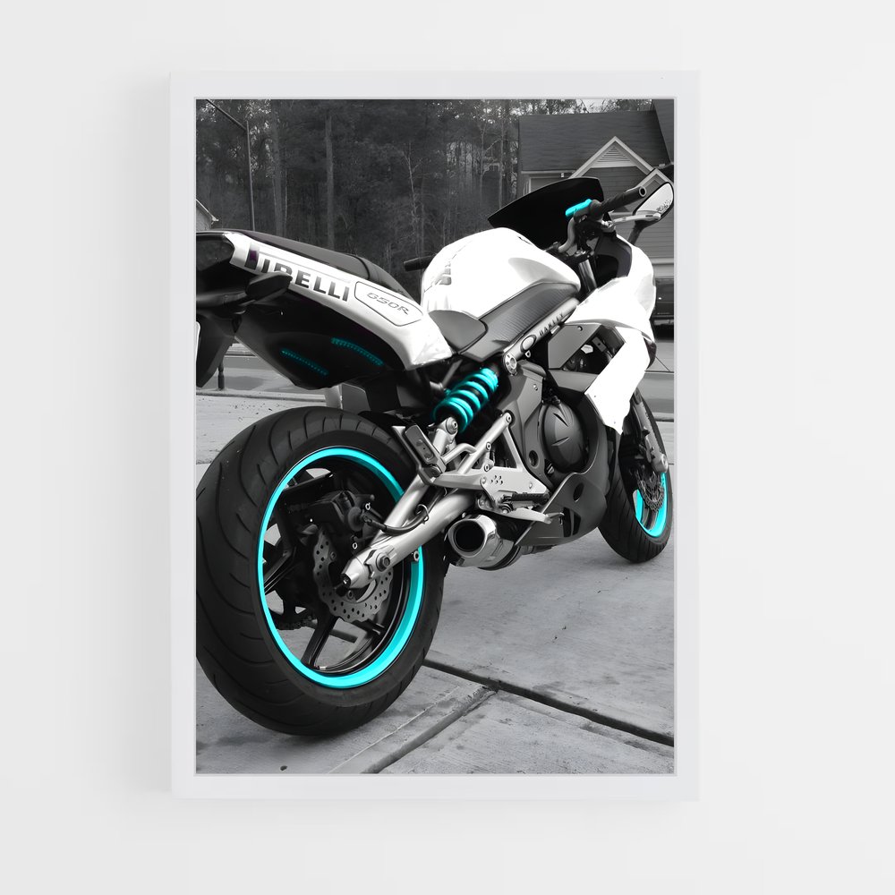 Poster Route 650 (vue 3)